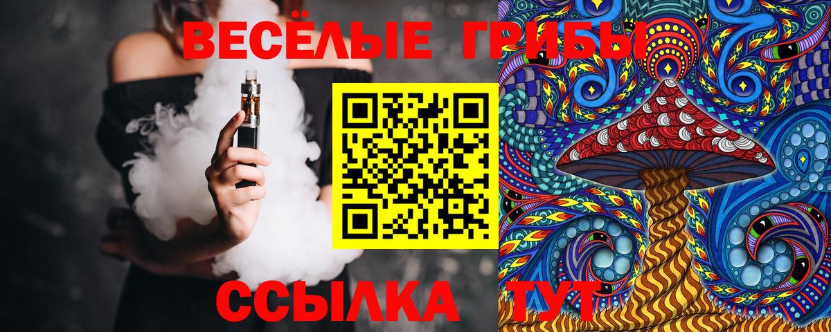 Псилоцибиновые грибы GOLDEN TEACHER Коркино