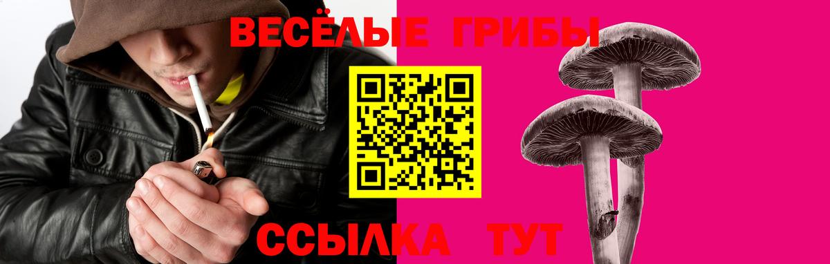 Галлюциногенные грибы Magic Shrooms  Вход с VPN  Коркино 